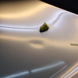 NSXボンネットのヘコミ